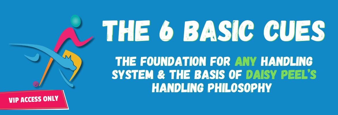 6 basic cues - home page