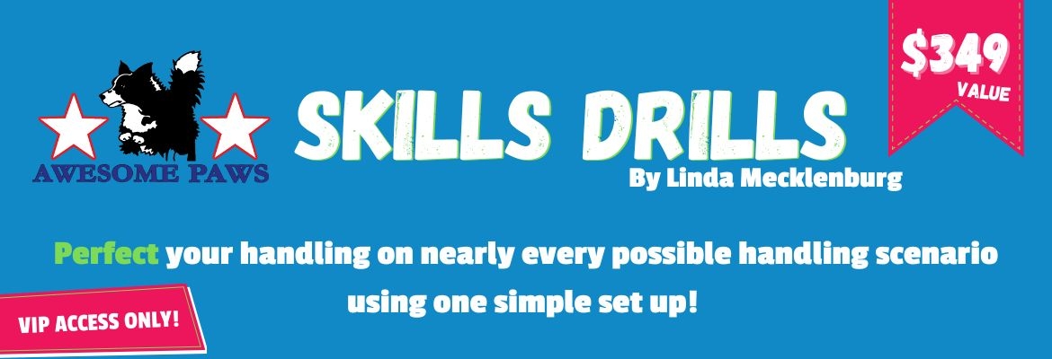 APSkills Drills