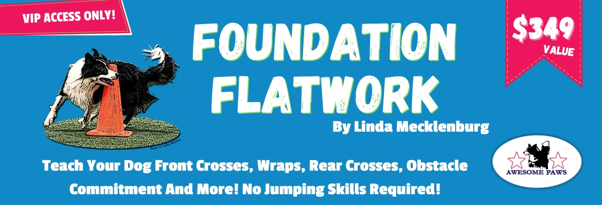 Awesome Paws Foundation Flatwork