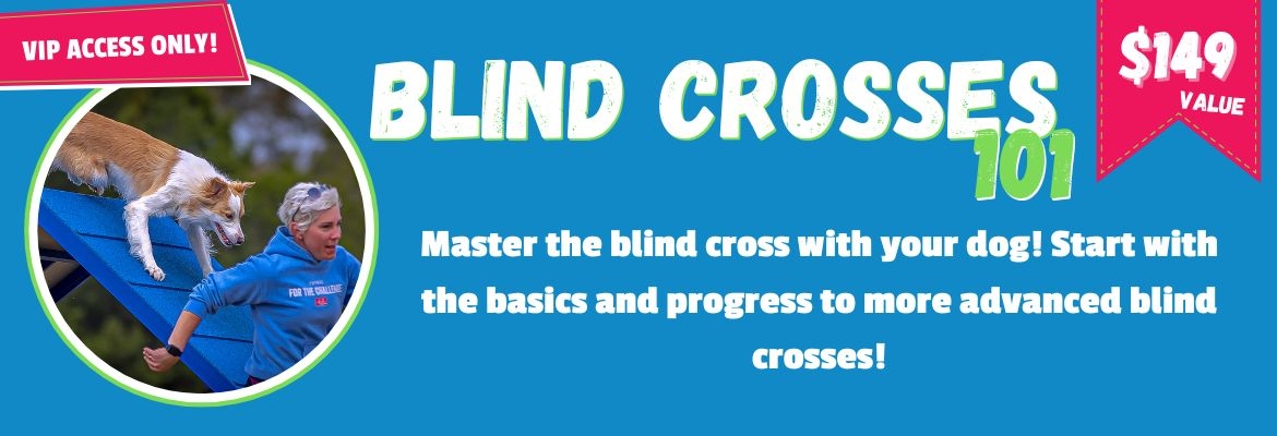 Blind Crosses 101