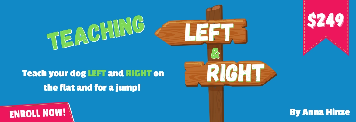 Teaching left and right