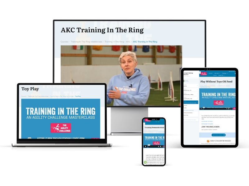 Training In the ring multi device mockup