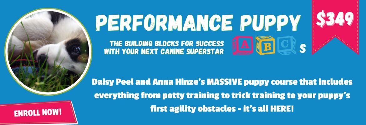 performance puppy abcs