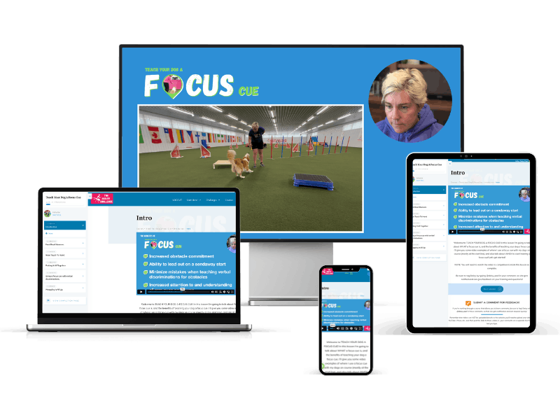 Focus Cue Course Mockup