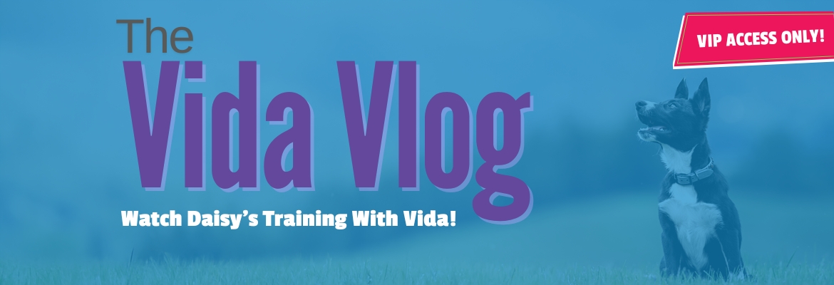 The Vida Vlog Thrive Front Page Header